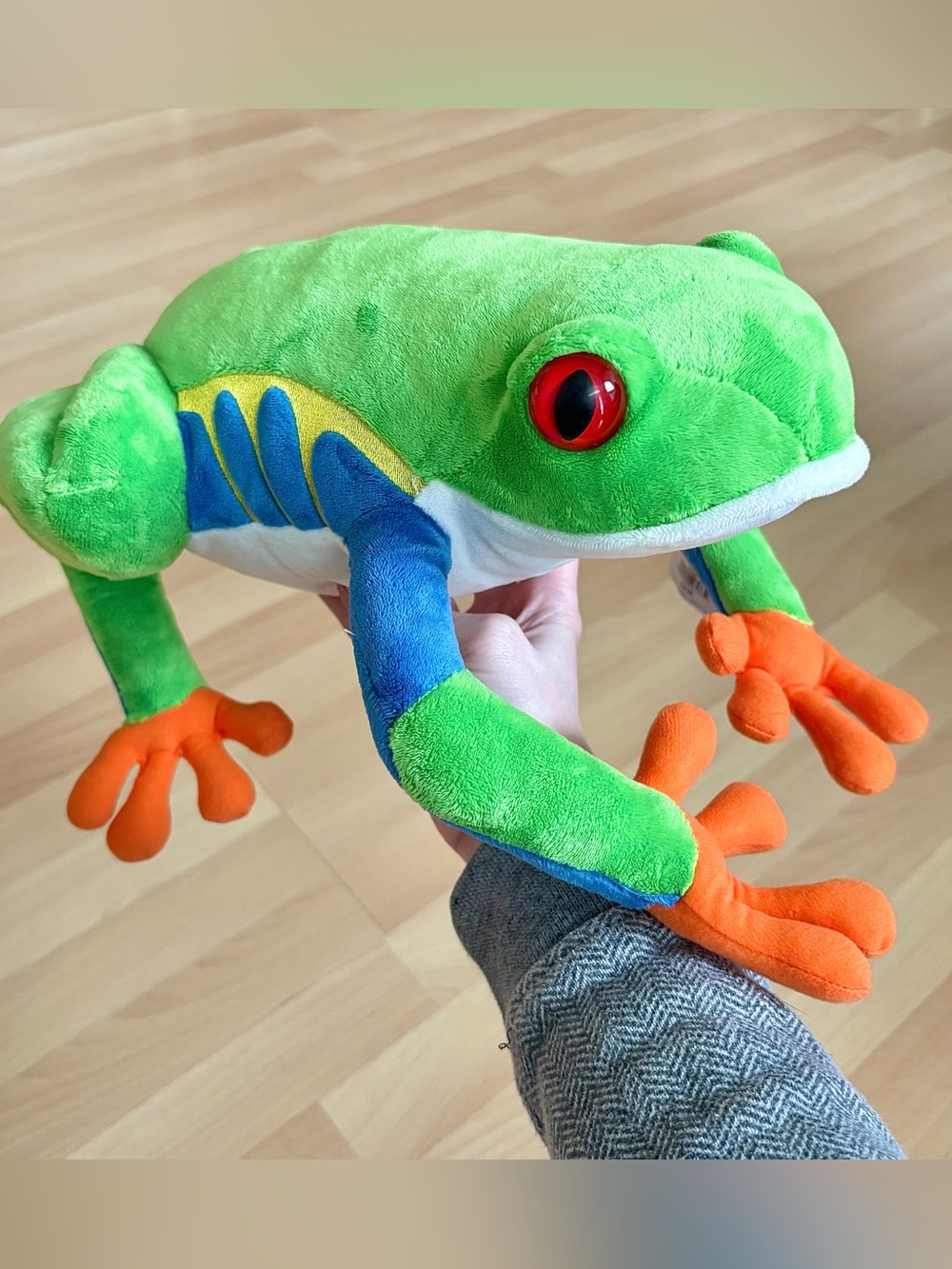 Red Eyed Tree Frog Plush Stuffed Animal from Newport Aquarium